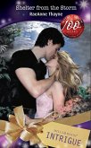 Shelter from the Storm (Mills & Boon Intrigue) (eBook, ePUB)