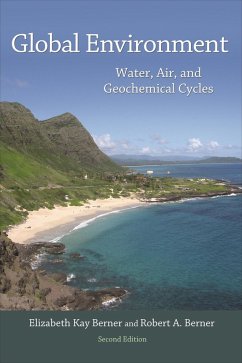 Global Environment (eBook, ePUB) - Berner, Elizabeth Kay