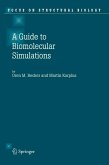 Guide to Biomolecular Simulations (eBook, PDF)