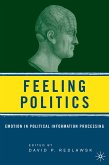 Feeling Politics (eBook, PDF)