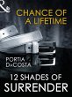 Chance of a Lifetime (eBook, ePUB) - Bild 1