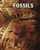 Fossils (eBook, PDF)