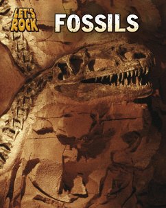 Fossils (eBook, PDF) - Spilsbury, Richard