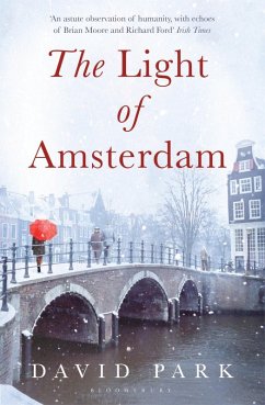The Light of Amsterdam (eBook, ePUB) - Park, David