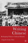 Writing Chinese (eBook, PDF)
