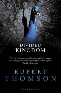 Divided Kingdom (eBook, ePUB) - Thomson, Rupert