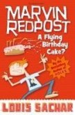 Marvin Redpost 6: A Flying Birthday Cake? (eBook, ePUB)
