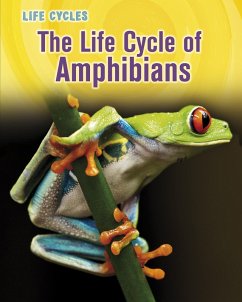Cover Life Cycle of Amphibians (eBook, PDF)