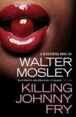 Killing Johnny Fry (eBook, ePUB)