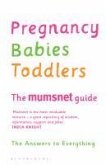 The Complete Mumsnet Guides (eBook, ePUB)