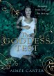The Goddess Test (eBook, ePUB) - Bild 1