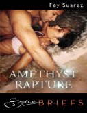 Amethyst Rapture (eBook, ePUB)