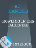 Howling In The Darkness (Mills & Boon Intrigue) (Moriah's Landing, Book 2) (eBook, ePUB)