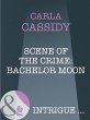 Scene Of The Crime: Bachelor Moon... - Bild 1