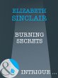 Burning Secrets (eBook, ePUB) - Bild 1