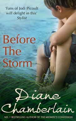 Before The Storm (eBook, ePUB) - Chamberlain, Diane