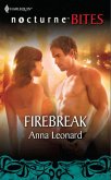 Firebreak (eBook, ePUB)