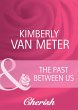 The Past Between Us (eBook, ePUB) - Bild 1