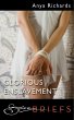 Glorious Enslavement (eBook, ePUB) - Bild 1