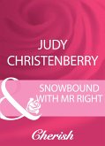 Snowbound With Mr Right (eBook, ePUB)