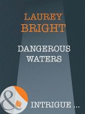 Dangerous Waters (eBook, ePUB)