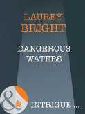 Dangerous Waters (eBook, ePUB) Dangerous Waters (eBook, ePUB)