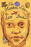 The Hidden Star (eBook, ePUB)
