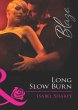 Long Slow Burn (eBook, ePUB) - Bild 1