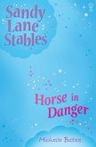 Horse in Danger (eBook, ePUB)