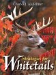 Strategies for Whitetails (eBook, ePUB) - Bild 1