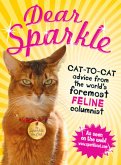 Dear Sparkle (eBook, ePUB)