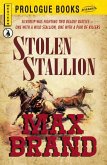 Stolen Stallion (eBook, ePUB)