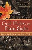 God Hides in Plain Sight (eBook, ePUB)