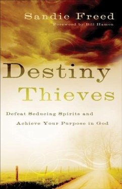 Cover Destiny Thieves (eBook, ePUB)