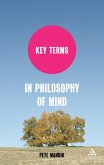 Key Terms in Philosophy of Mind (eBook, PDF)