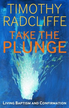 Take the Plunge (eBook, PDF) - Radcliffe, Timothy