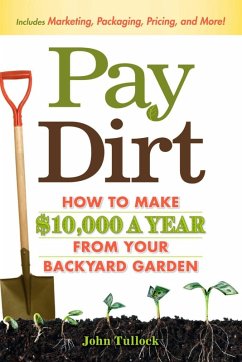 Cover Pay Dirt (eBook, ePUB)