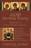 God the Holy Trinity (Beeson Divinity Studies) (eBook, ePUB)