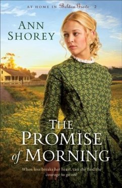 Promise of Morning (At Home in Beldon Grove Book #2) (eBook, ePUB) - Shorey, Ann