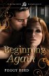 Beginning Again (eBook, ePUB) - Bild 1