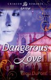Dangerous Love (eBook, ePUB)