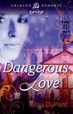 Dangerous Love (eBook, ePUB)
