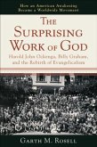 Surprising Work of God (eBook, ePUB)
