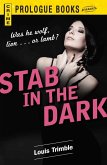 Stab in the Dark (eBook, ePUB)