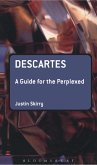 Descartes: A Guide for the Perplexed (eBook, ePUB)
