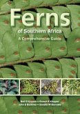 Ferns of Southern Africa: A Comprehensive Guide (PVC) (eBook, PDF)