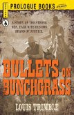 Bullets on Bunchgrass (eBook, ePUB) Bullets on Bunchgrass (eBook, ePUB)