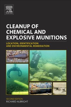Cleanup of Chemical and Explosive Munitions (eBook, ePUB) - Albright, Richard