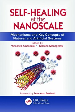 Cover Self-Healing at the Nanoscale (eBook, PDF)