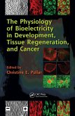 The Physiology of Bioelectricity in Development, Tissue Regeneration and Cancer (eBook, PDF)